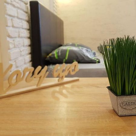 New Luxury Studio Apartment イヴァーノ＝フランキーウシク エクステリア 写真